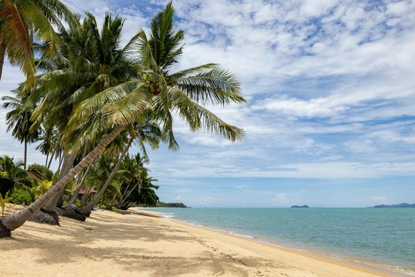 Welche nachhaltigen Aktivitäten gibt es in der Natur?